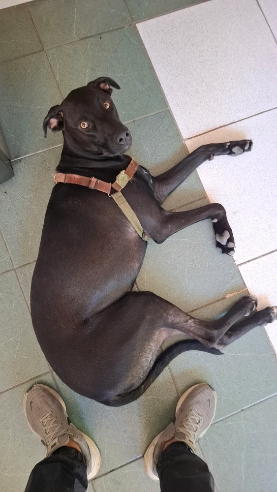 GIF uploaded by Gabriel