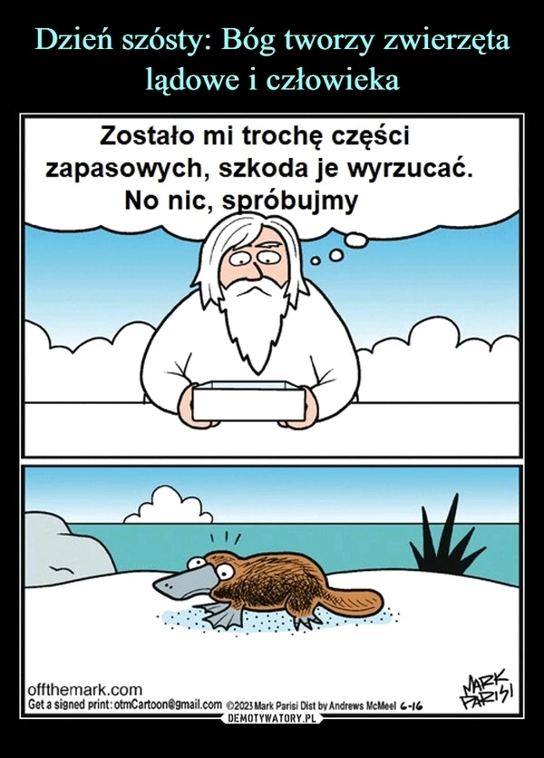 Zdjęcie dodane przez Damian
