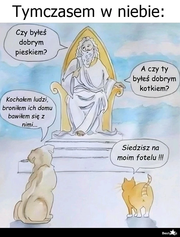 Zdjęcie dodane przez Damian