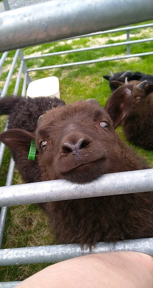 GIF uploaded by Martin