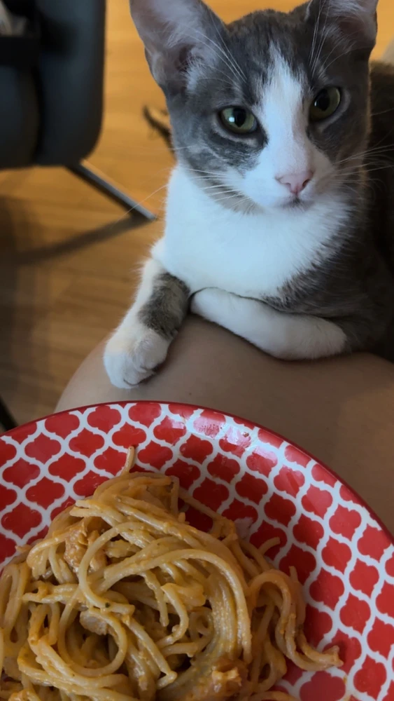 GIF uploaded by Viktoria