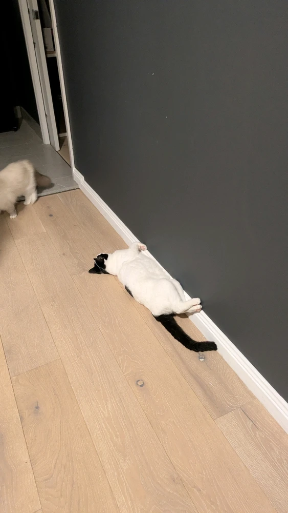 Image uploaded by Sarah