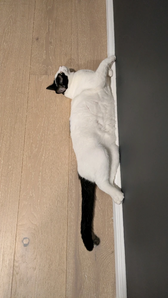 Image uploaded by Sarah