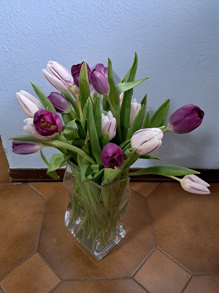 GIF caricata da Serry