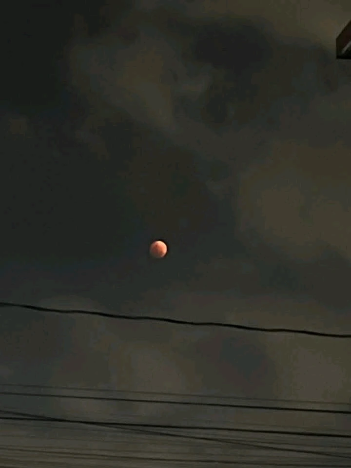 Image uploaded by 💜J💜o💜e💜y💜