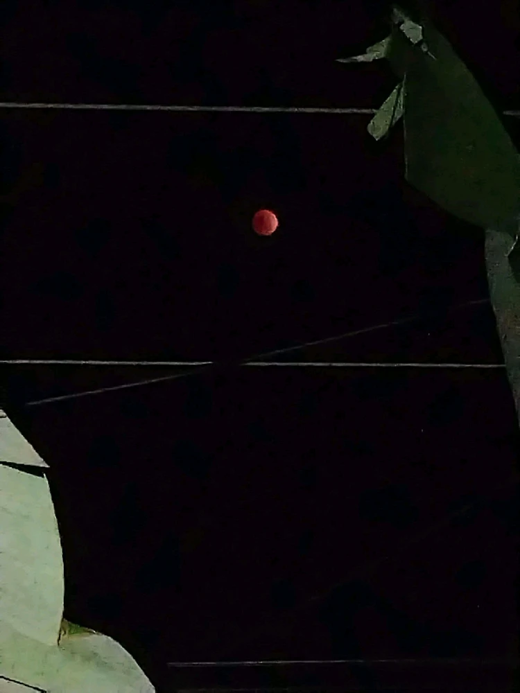 Image uploaded by 💜J💜o💜e💜y💜