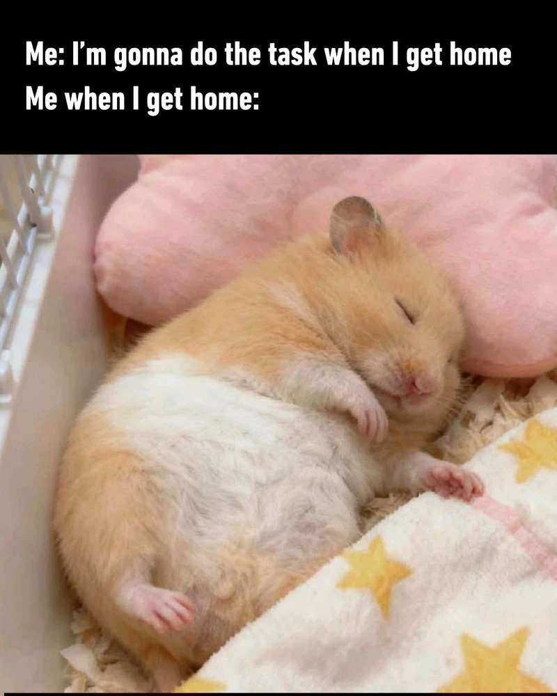 GIF uploaded by Chrif