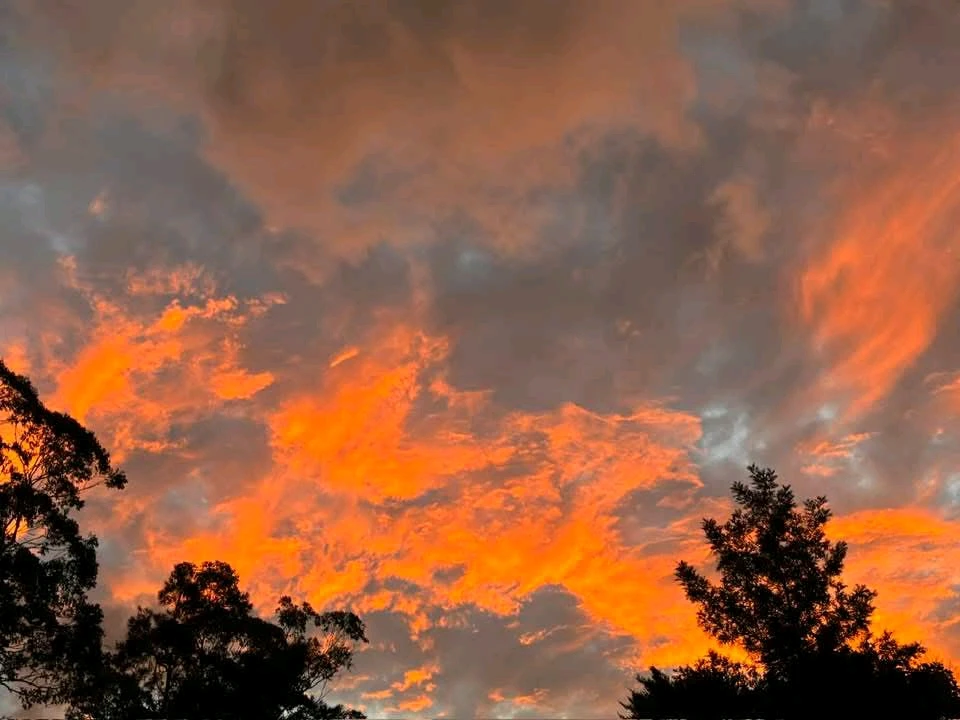 Image uploaded by 💜J💜o💜e💜y💜