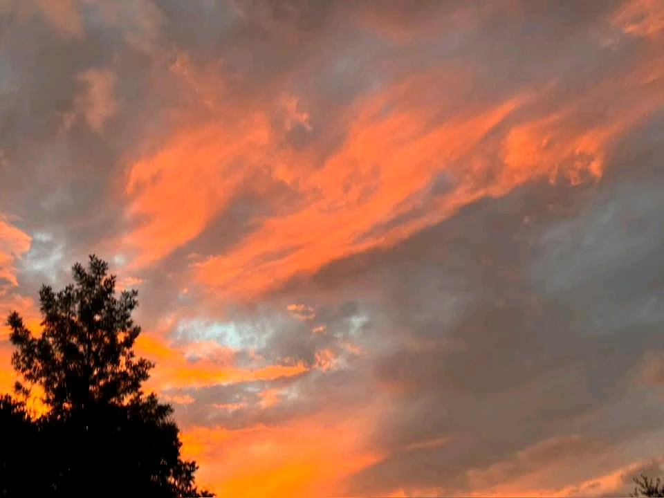 Image uploaded by 💜J💜o💜e💜y💜