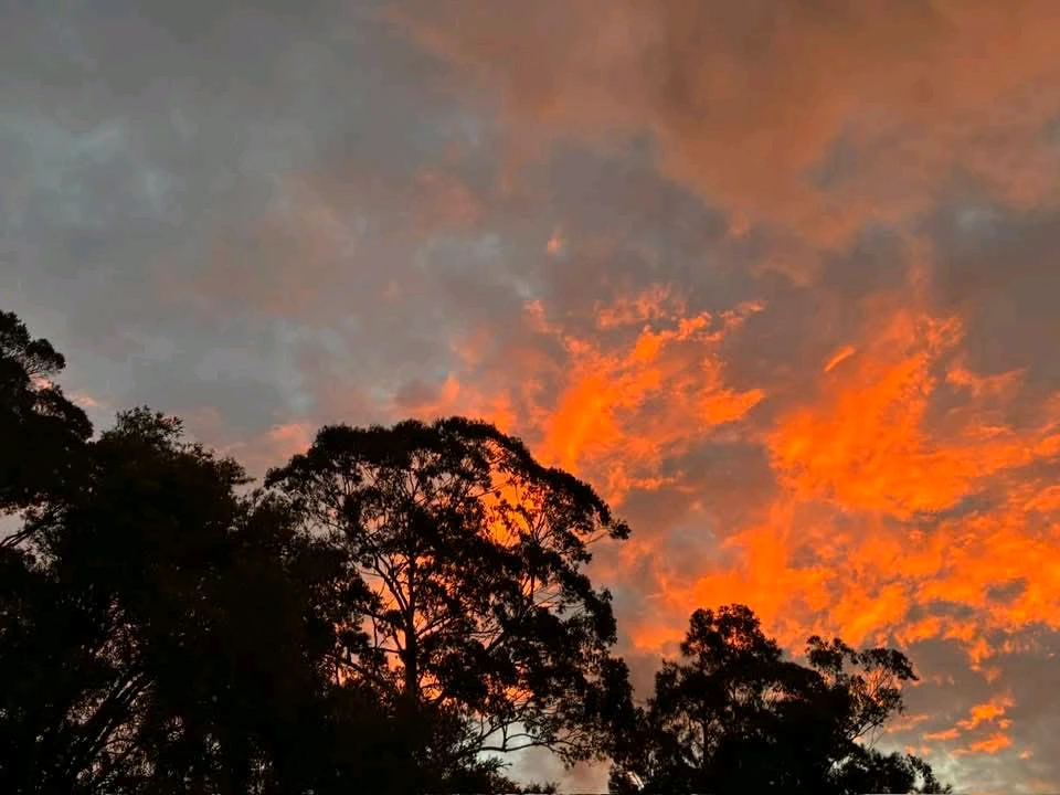 Image uploaded by 💜J💜o💜e💜y💜