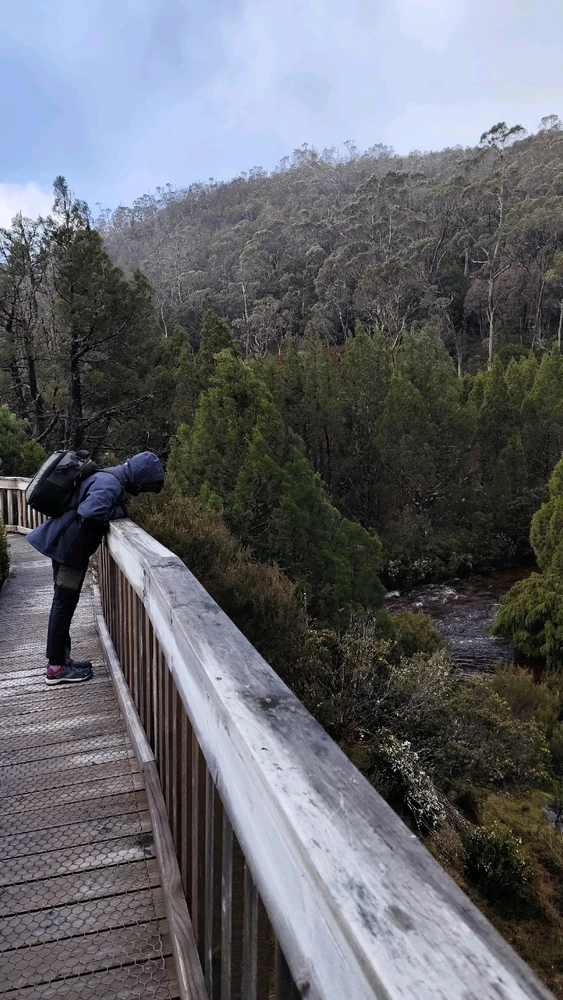 GIF subido por Frieren