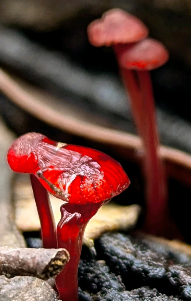 GIF uploaded by Chris