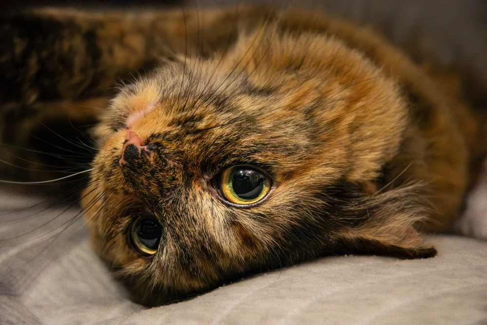 GIF uploaded by Paul