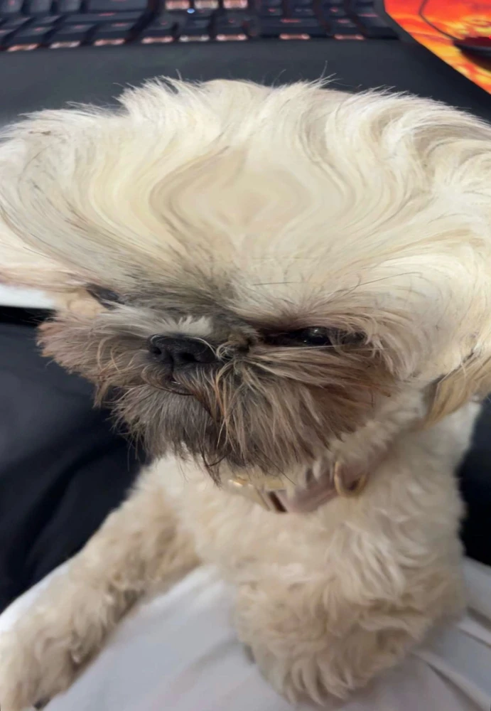 GIF uploaded by Peyton