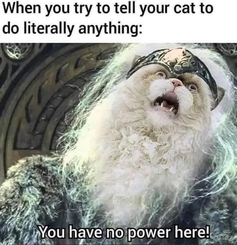 GIF uploaded by Alfredo