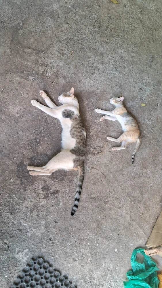 Abin B N അപ്ലോഡ് ചെയ്ത GIF