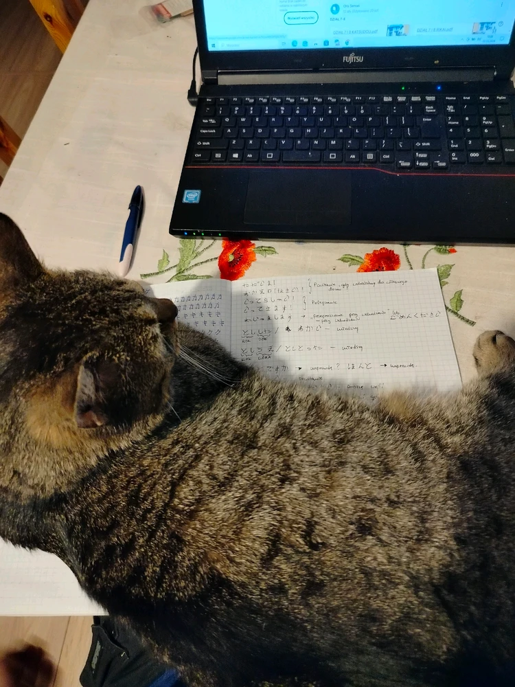 GIF dodany przez Artur