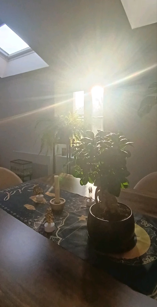 GIF ajouté par Saffiya