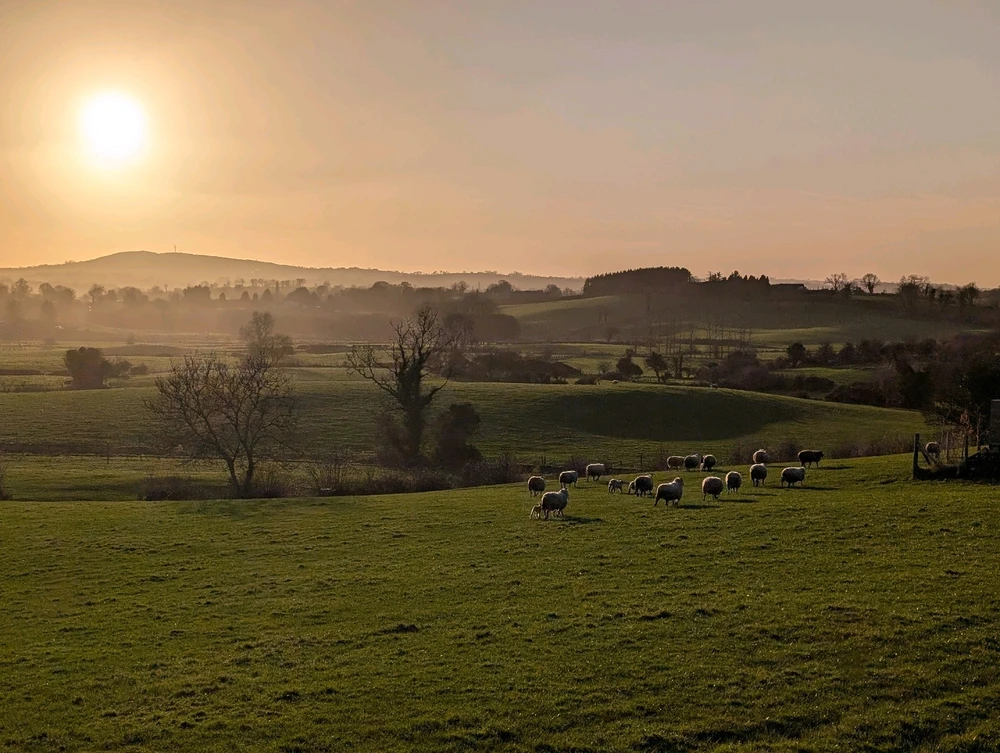 GIF uploaded by Graeme