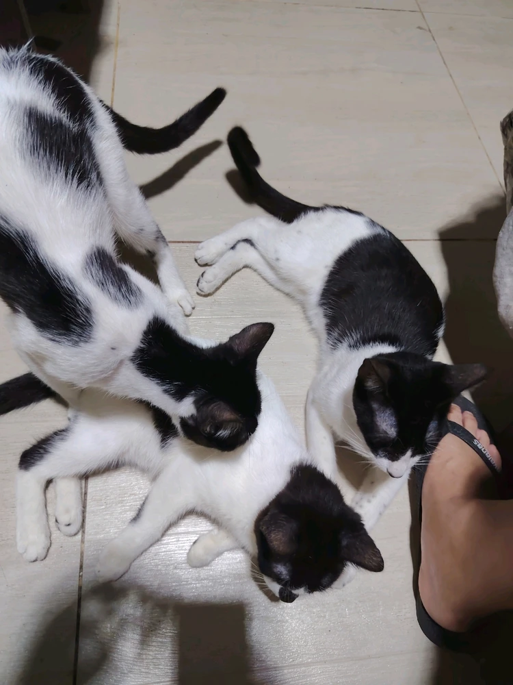 GIF uploaded by Arlene