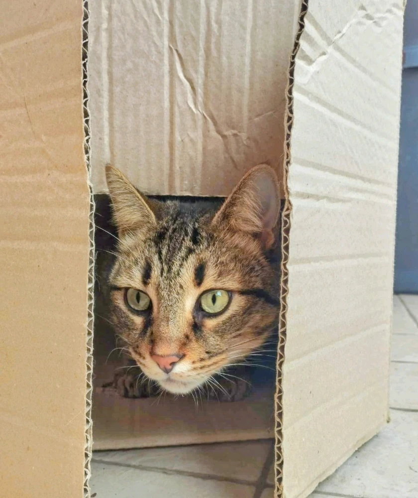 GIF caricata da Christian