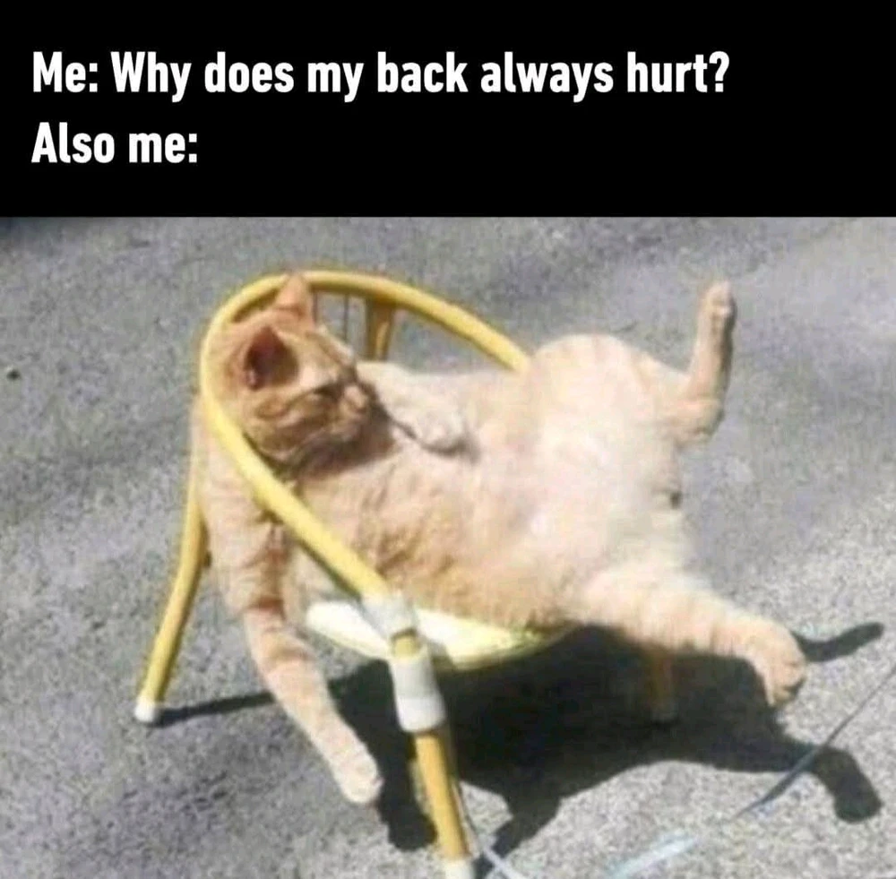 GIF uploaded by Melanie