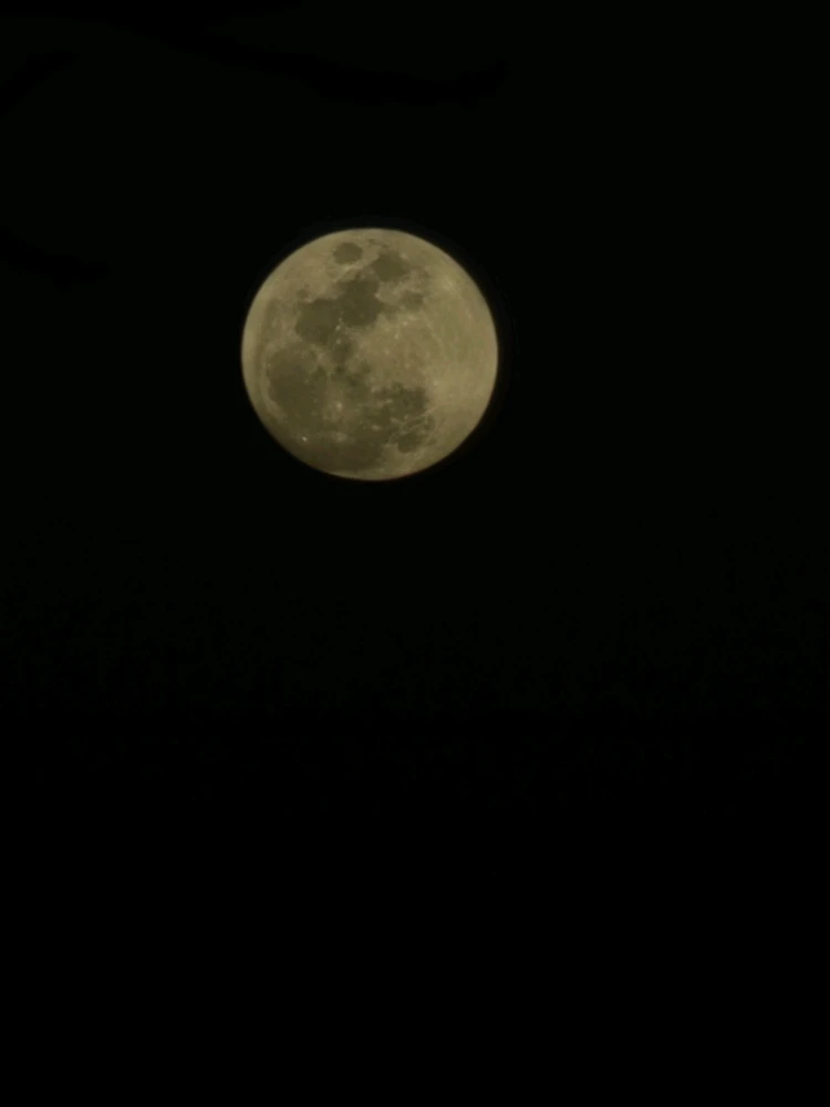 Image uploaded by JaDacia