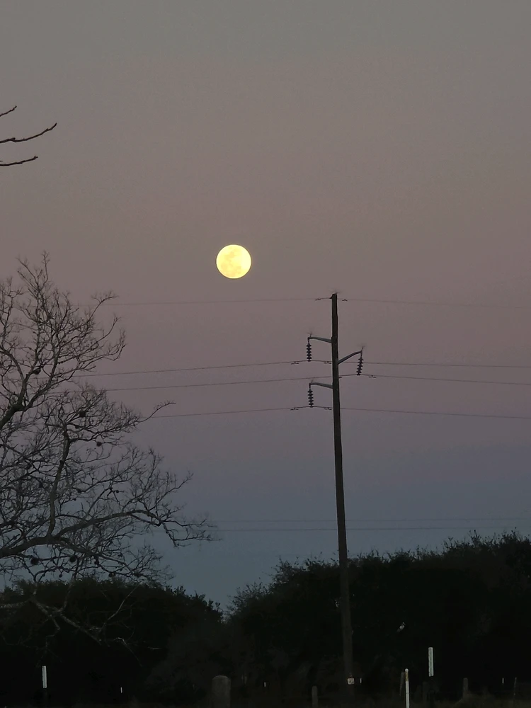 Image uploaded by JaDacia