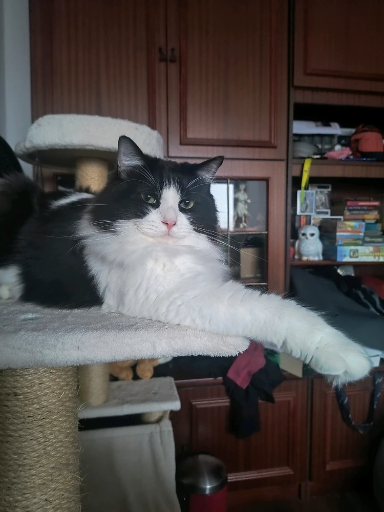 GIF dodany przez LigoCt