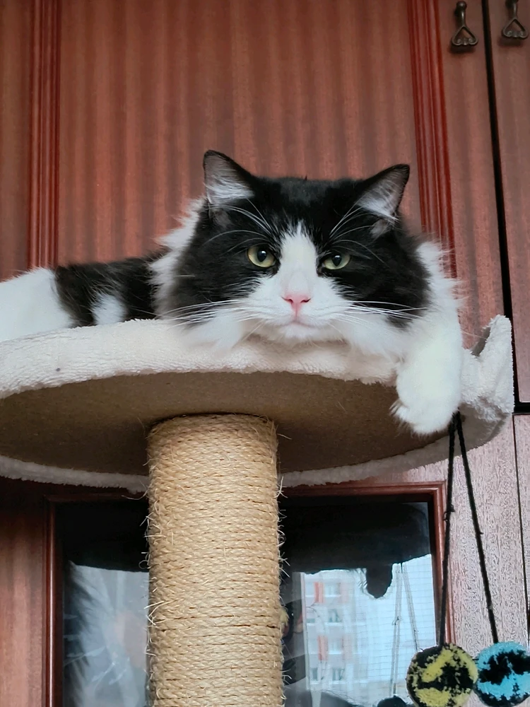 GIF dodany przez LigoCt