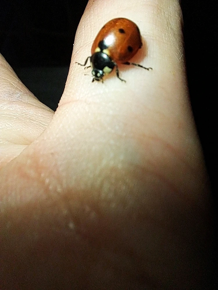 Image ajoutée par Angélique