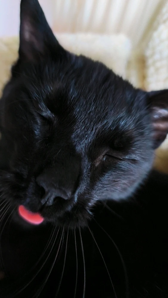 GIF hochgeladen von Ayro