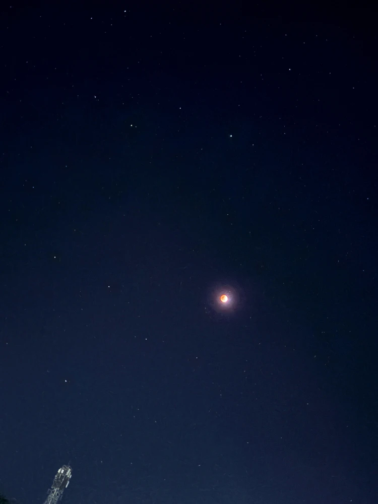 GIF uploaded by Jess