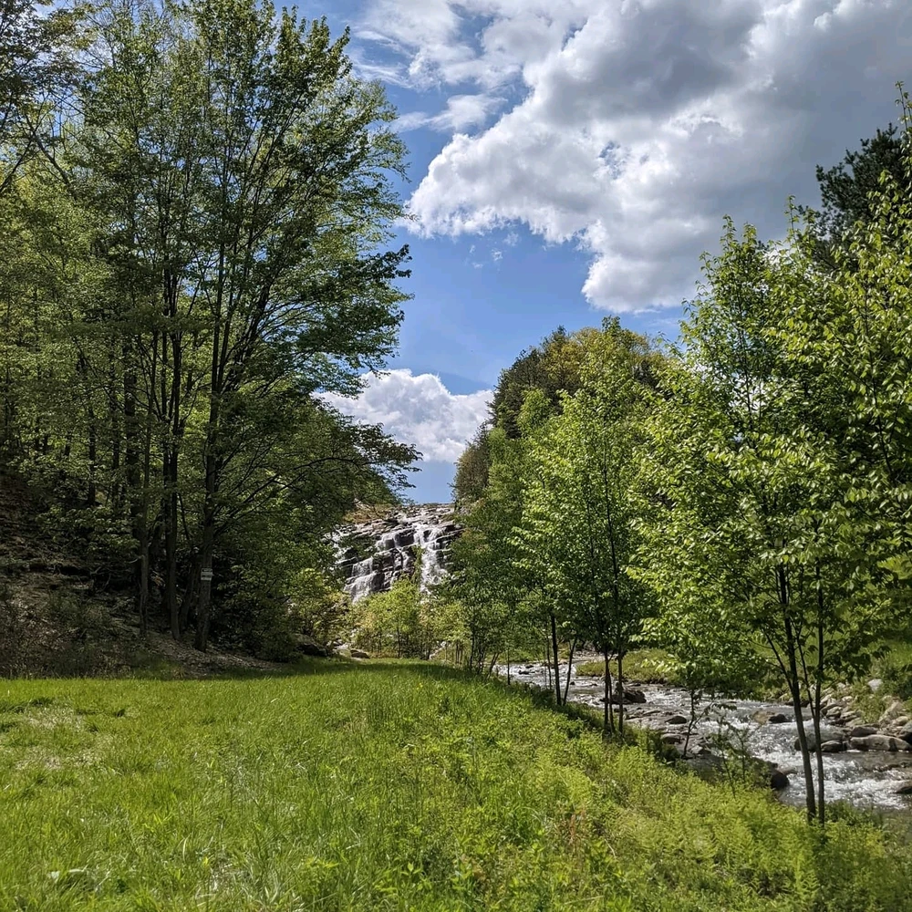 Image uploaded by Kris