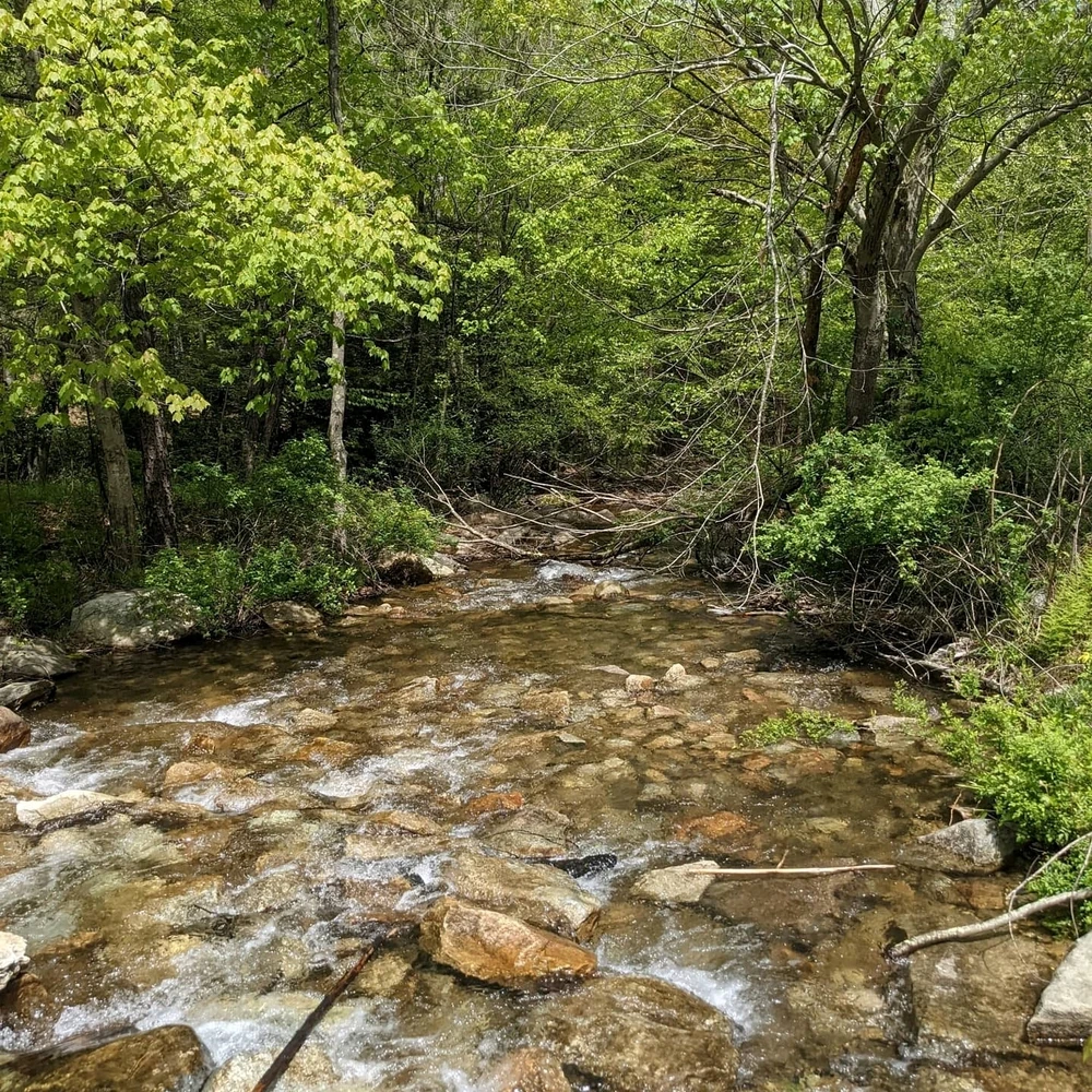 Image uploaded by Kris