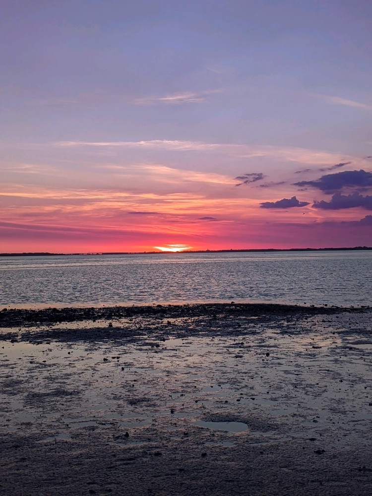 Image uploaded by Kris