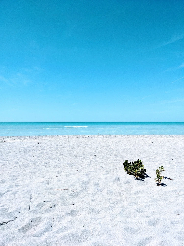 Image uploaded by Kris