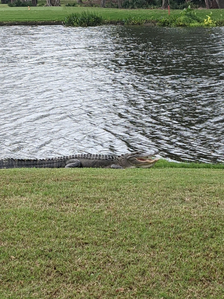 Image uploaded by Kris