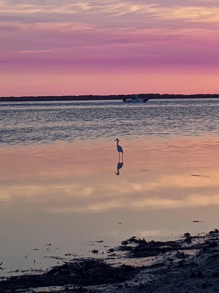 Image uploaded by Kris