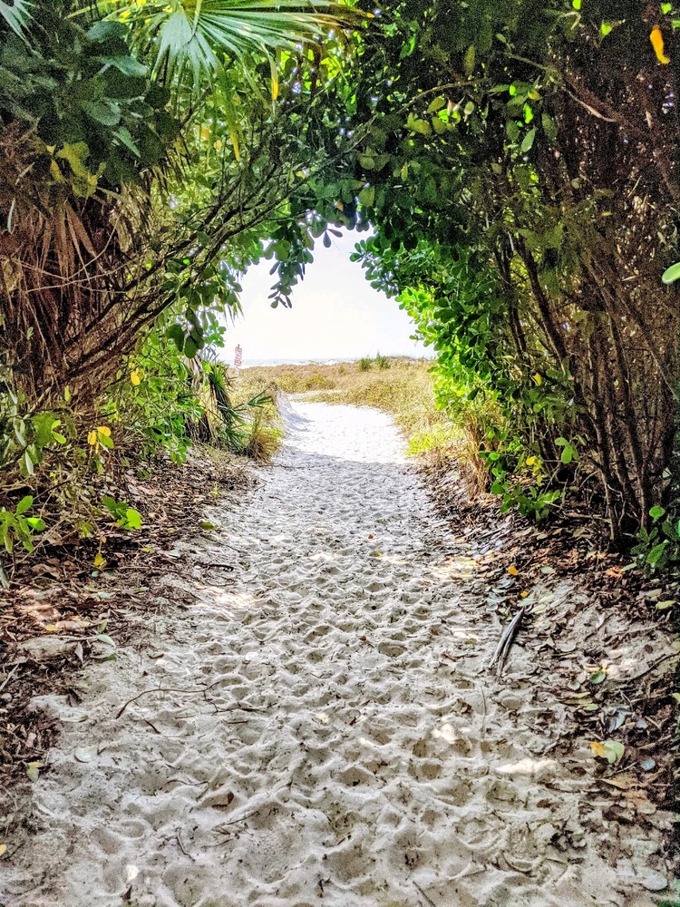 Image uploaded by Kris