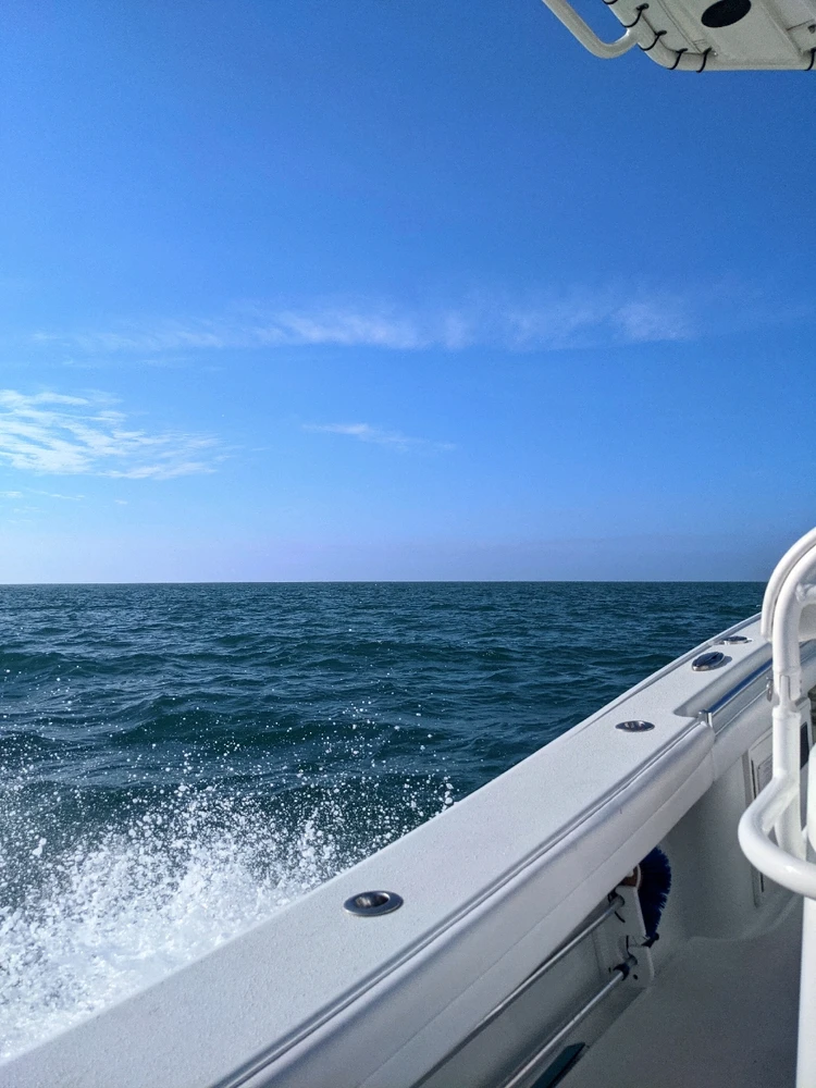 Image uploaded by Kris