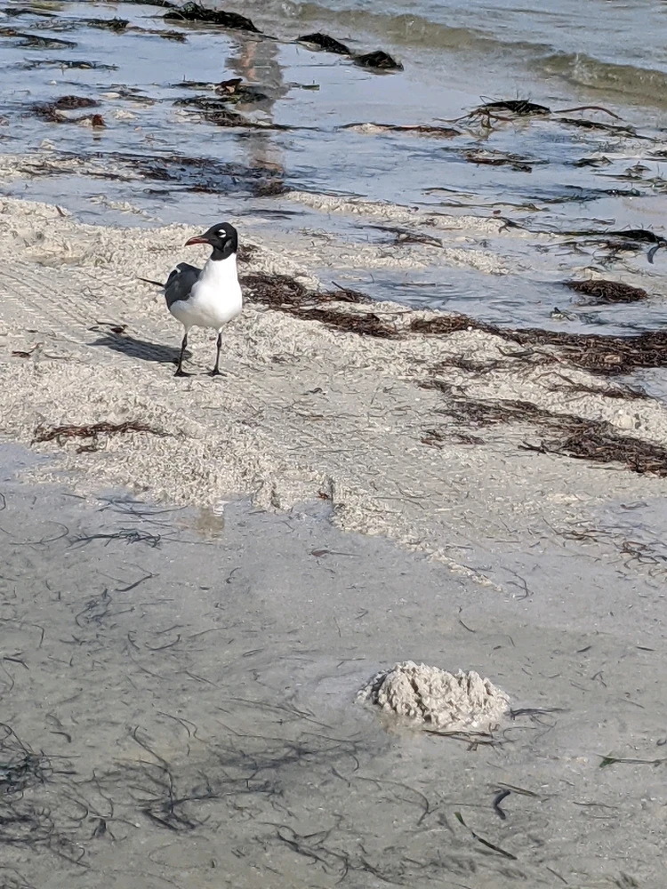 Image uploaded by Kris