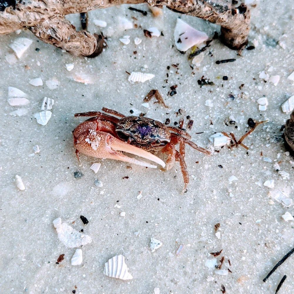 Image uploaded by Kris