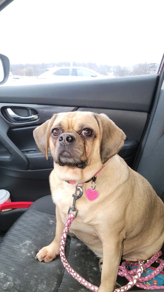 Image uploaded by Doug