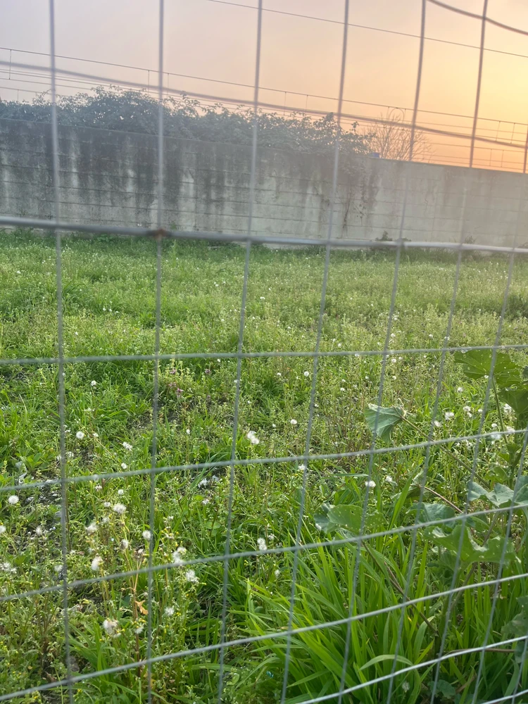 Immagine caricata da Sofia