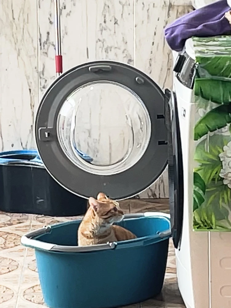 Immagine caricata da Sofia