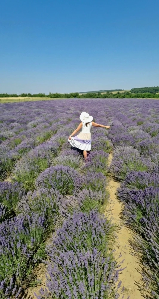 GIF uploaded by Kate