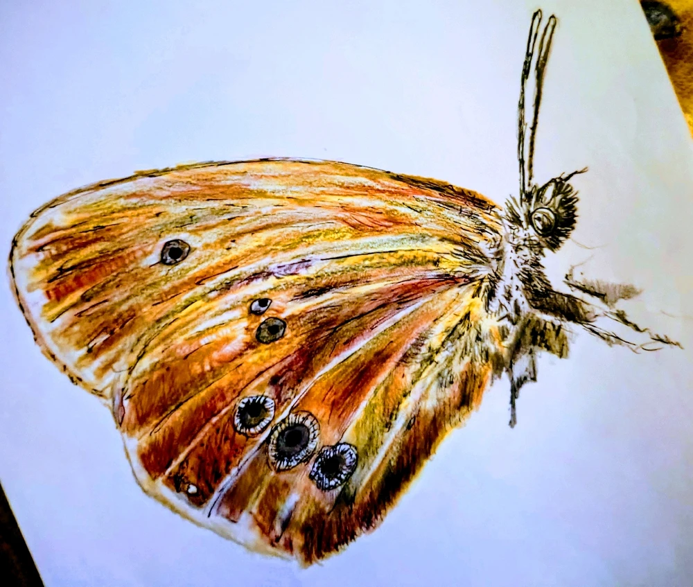 GIF uploaded by Mika