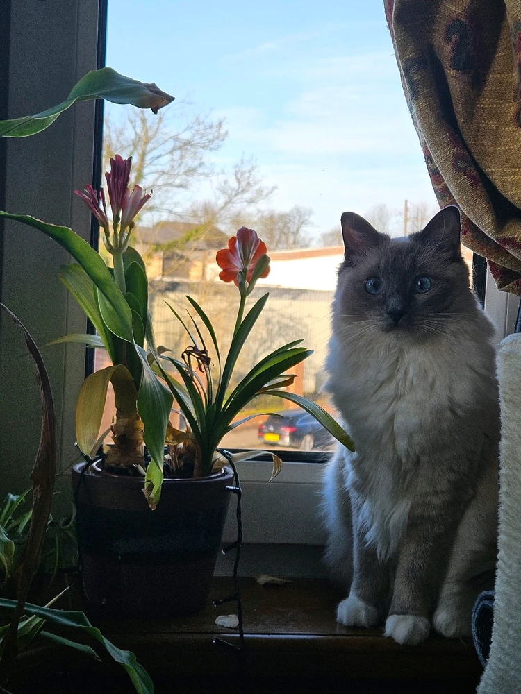 GIF uploaded by Felix