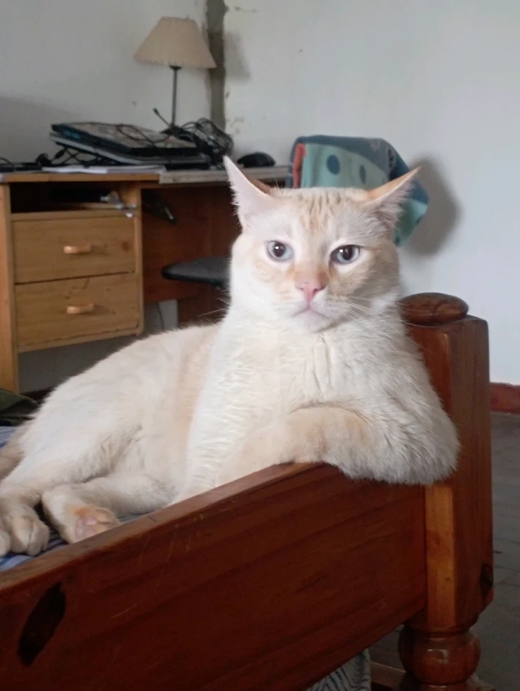 Imagen subida por Nico